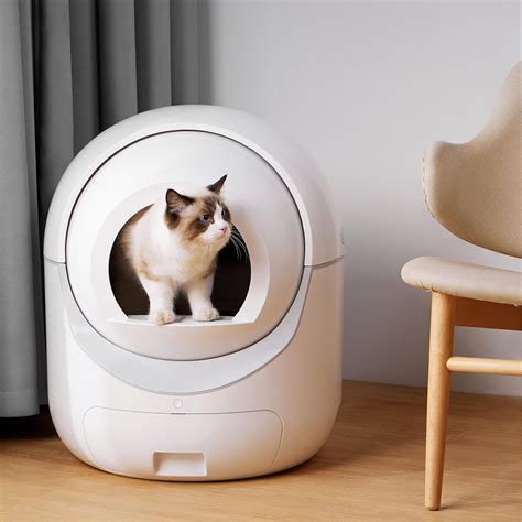 Save  on the Best Automatic Litter Box We've 